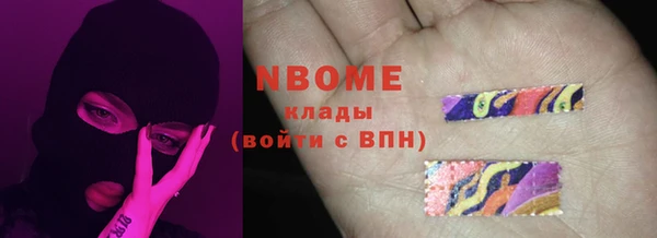 сатива Беломорск