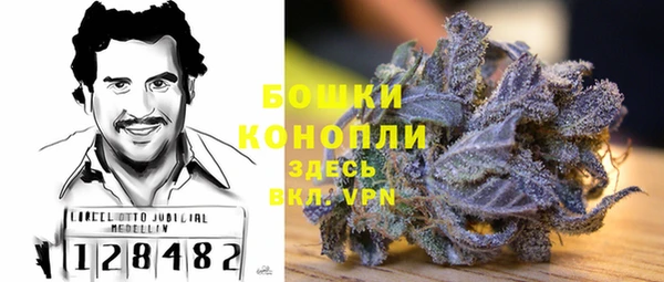 сатива Беломорск