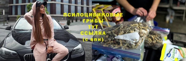 сатива Беломорск