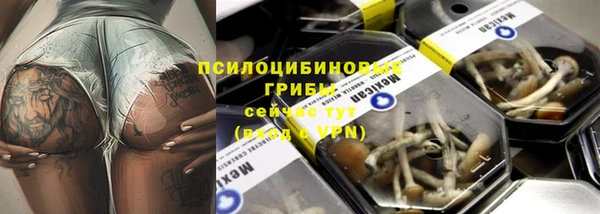 сатива Беломорск