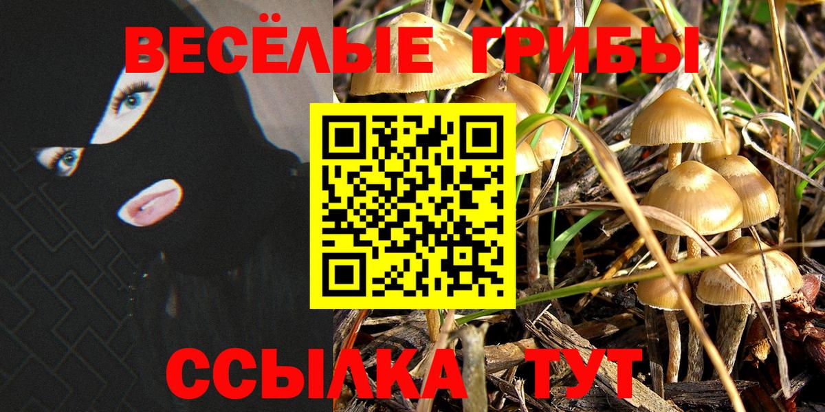 Галлюциногенные грибы ЛСД  Вход с VPN  Луховицы 