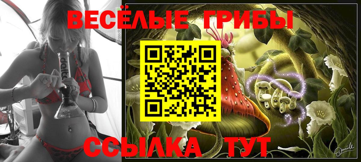 Псилоцибиновые грибы мицелий Луховицы