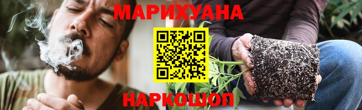 Конопля SATIVA & INDICA Луховицы